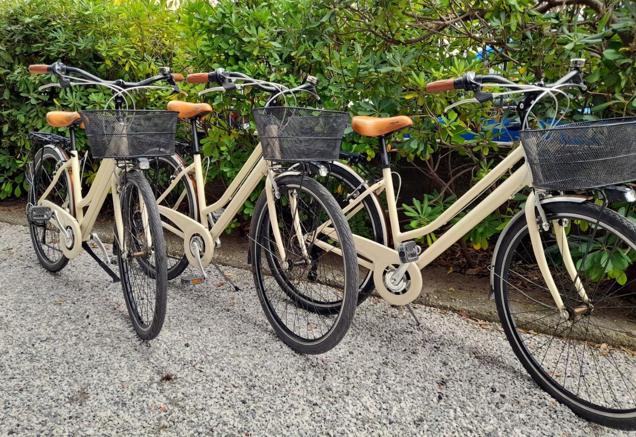Ampio, Elegante Con Aria Condizionata E Bici Gratis Apartment